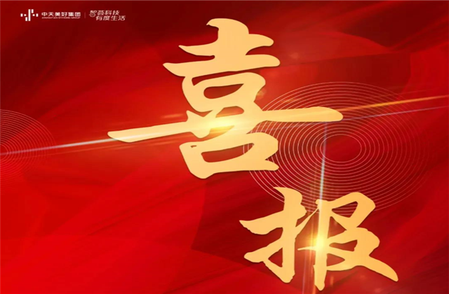 人生就是搏美好集团蝉联“2021长三角城市群房地产公司品牌价值TOP10”